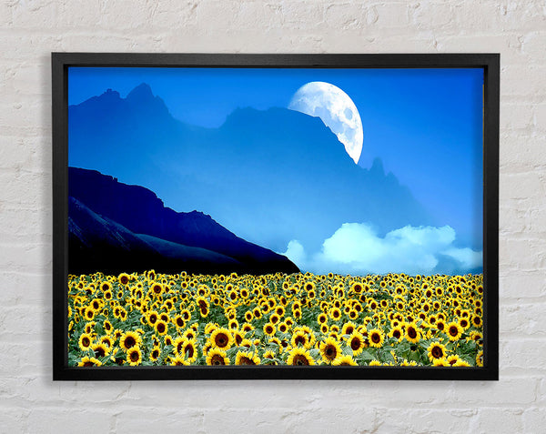 Field Of Illusions Framed Print