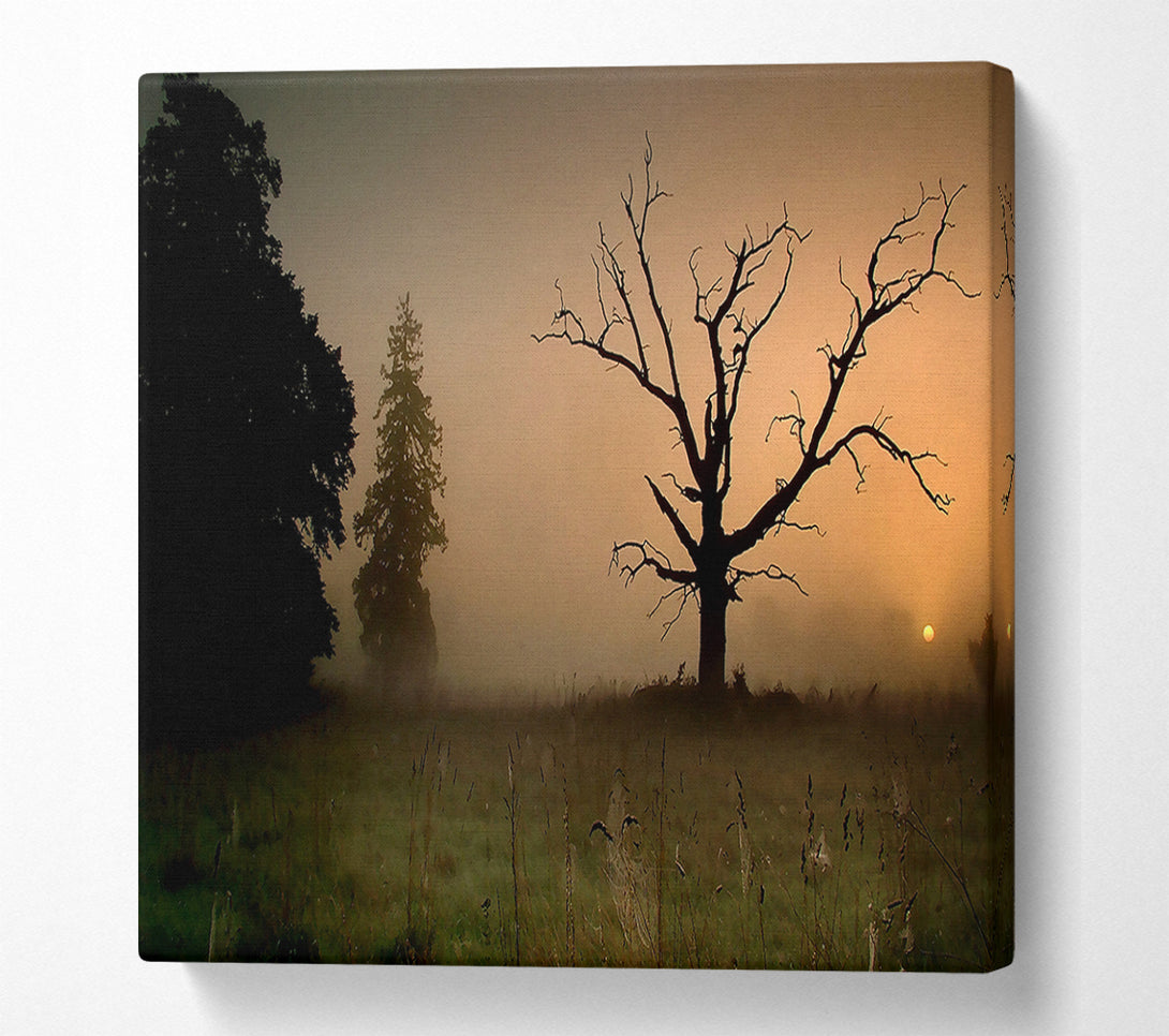  A Canvas Print of Winter Tree In The Mist Canvas Print