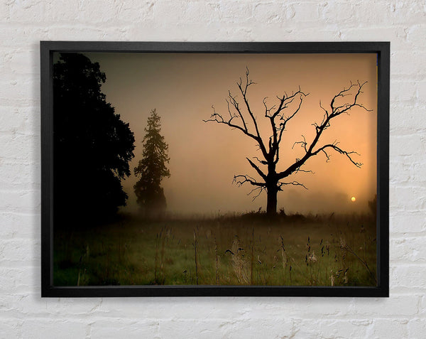 Winter Tree In The Mist Framed Print
