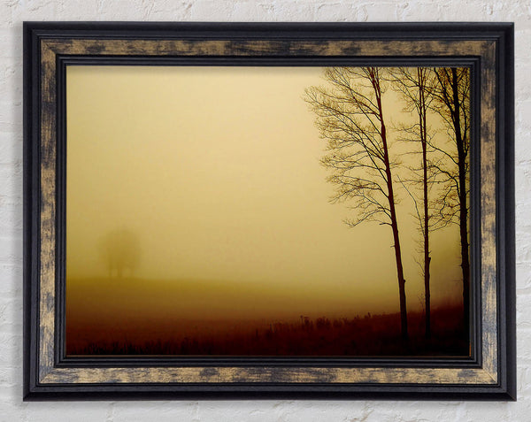 Naked Trees Framed Print