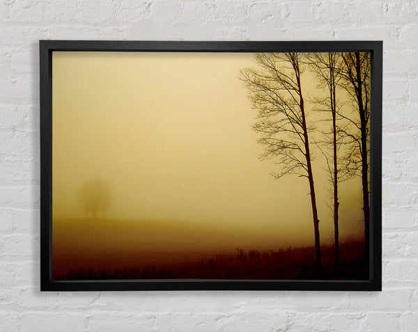 Naked Trees Framed Print