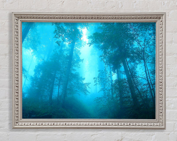Foggy Forest Framed Print