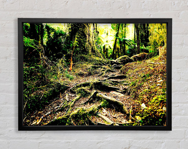 Roots Framed Print