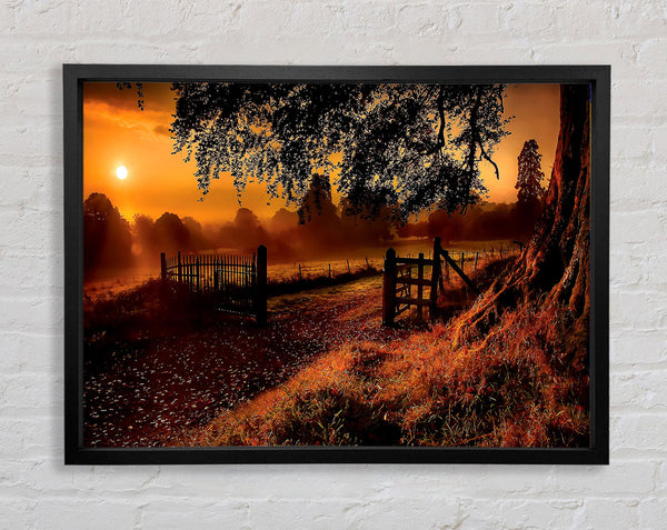 Old Road Gate Framed Print