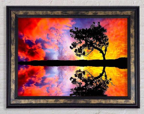 Tree Reflection In Water Framed Print