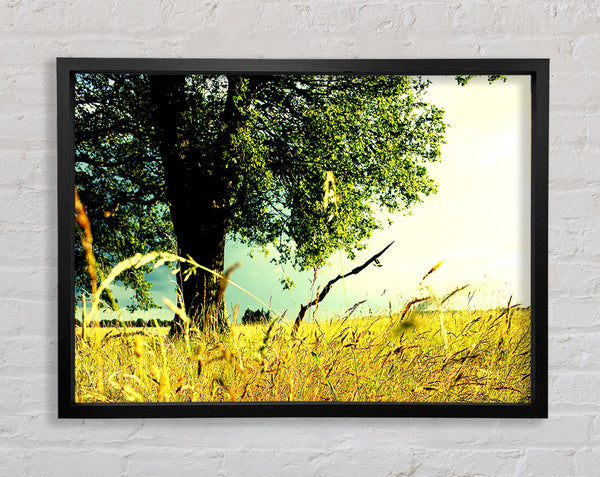 Summer Field Framed Print
