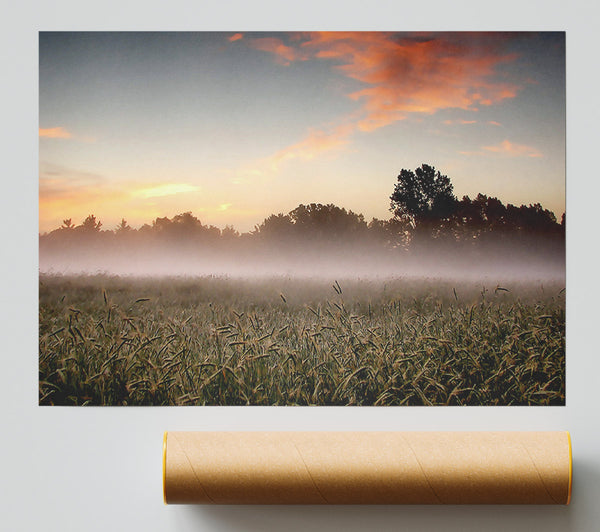 Early Morning Fog Print