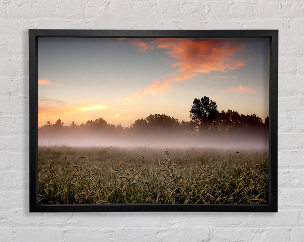 Early Morning Fog Framed Print