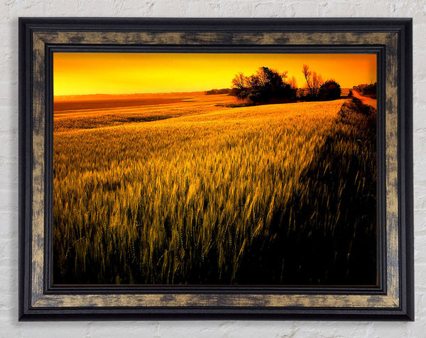 Sunset Over Wheat Field Framed Print
