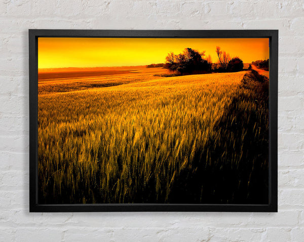 Sunset Over Wheat Field Framed Print