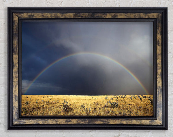 Desert Rainbow Framed Print