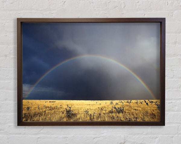 Desert Rainbow Framed Print