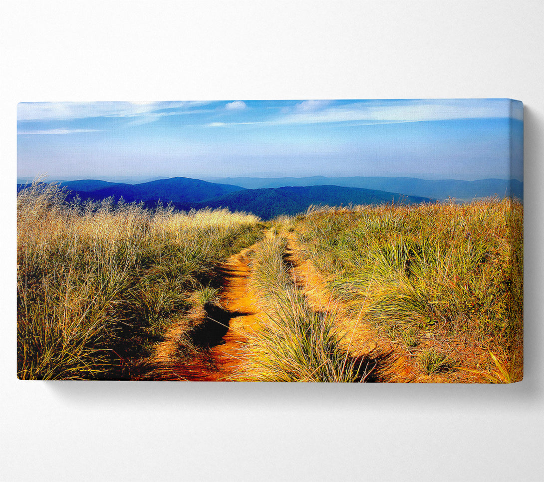  A Canvas Print of Hiking Path Canvas Art