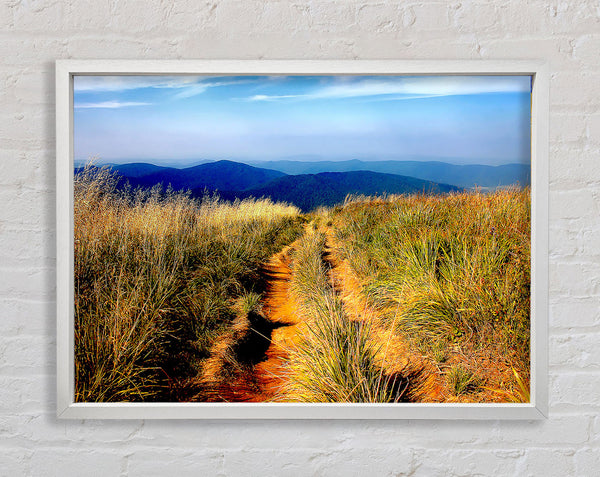 Hiking Path Framed Print