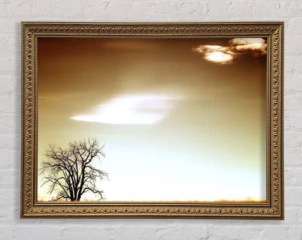 Lone Tree Framed Print