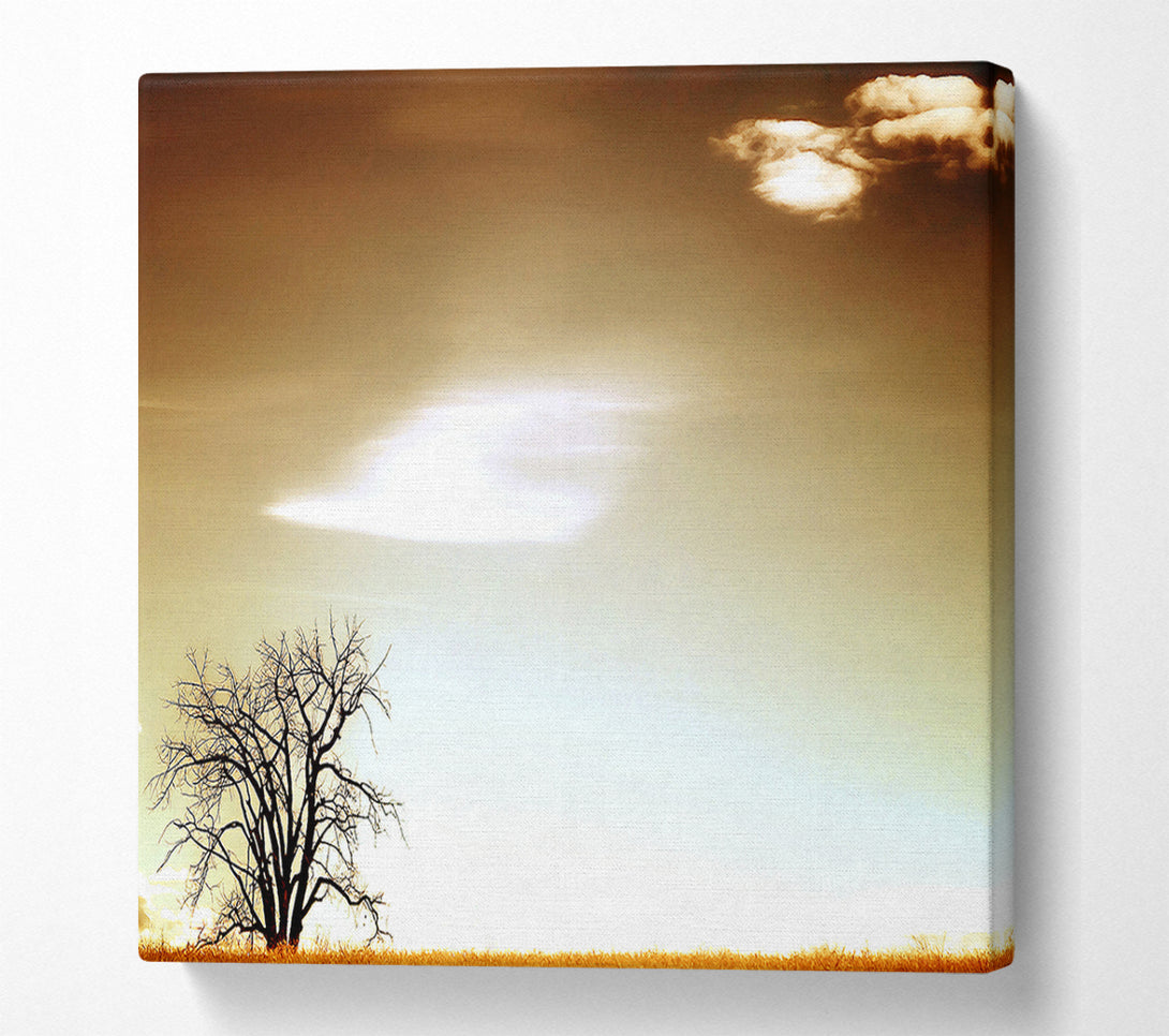  A Canvas Print of Lone Tree Canvas Art
