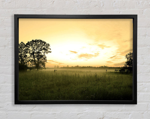 Summer Morning Mist Framed Print