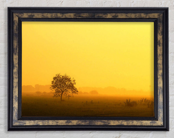 Misty Morning Framed Print