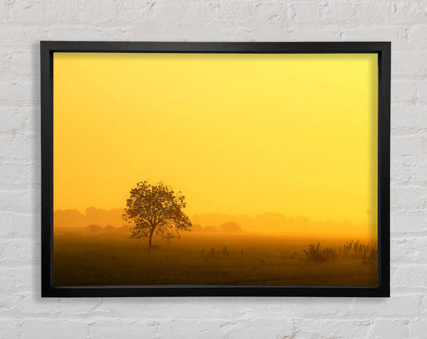 Misty Morning Framed Print