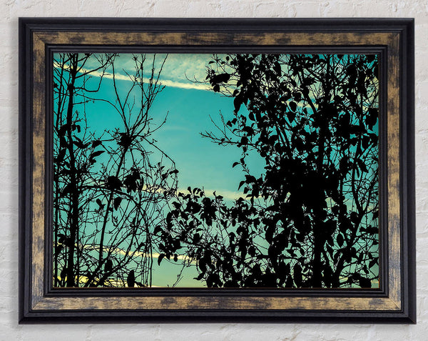 Sunset Time Framed Print
