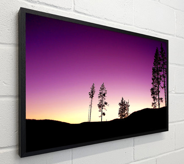 Purple Evening