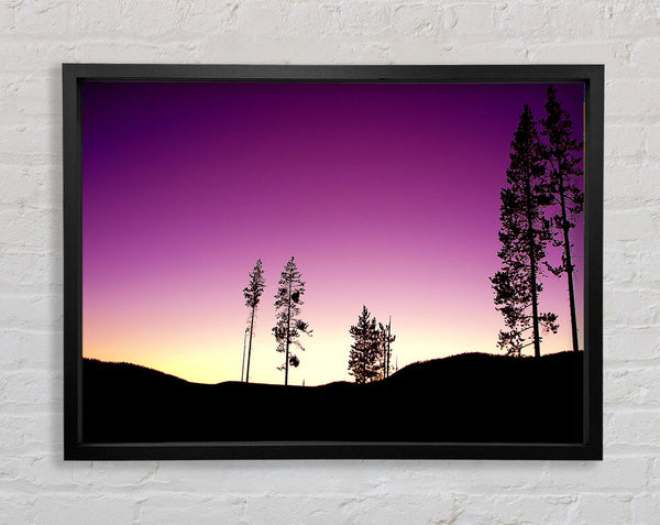 Purple Evening Framed Print