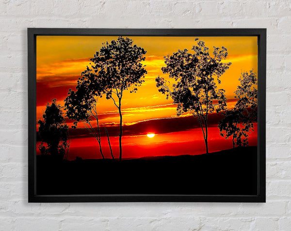 Red Sunrise Through The Trees Framed Print