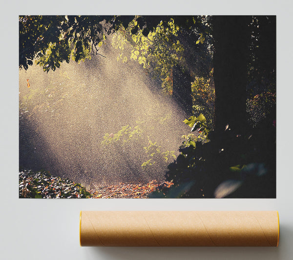 Summer Rain Forest Giclee Print