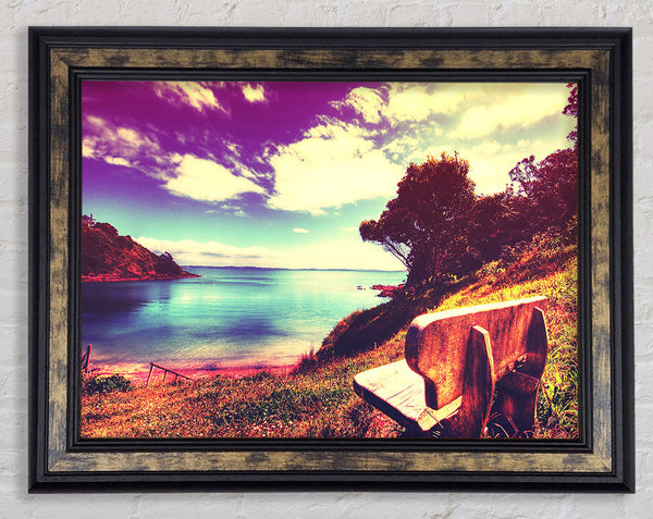 Take In The View Framed Print