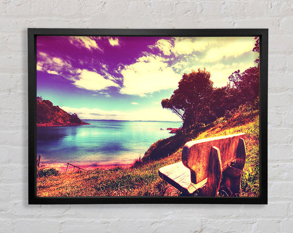 Take In The View Framed Print