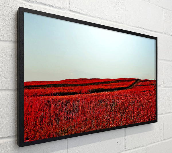Red Meadow