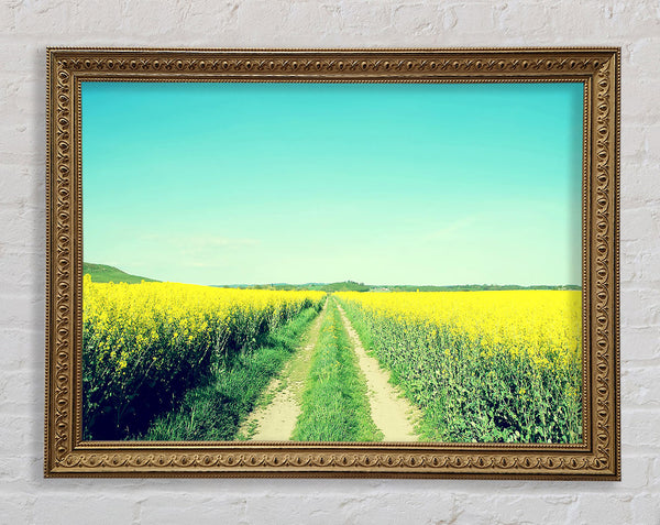 Field Road Framed Print