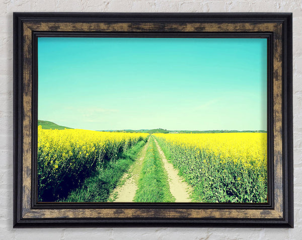 Field Road Framed Print