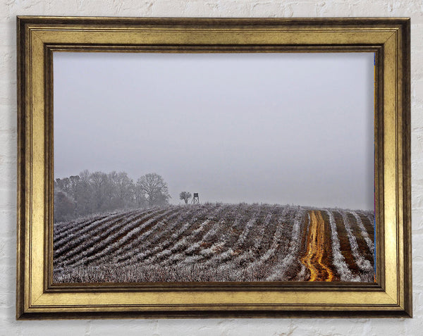 Land Framed Print