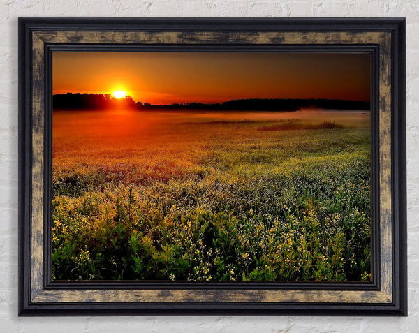 Sunset Over The Field Framed Print