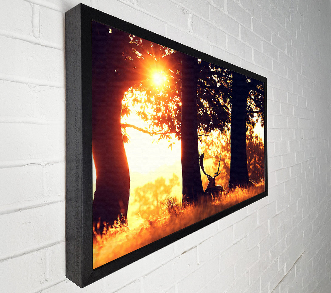  A Canvas Print of Stag In The Morning forest Canvas Art