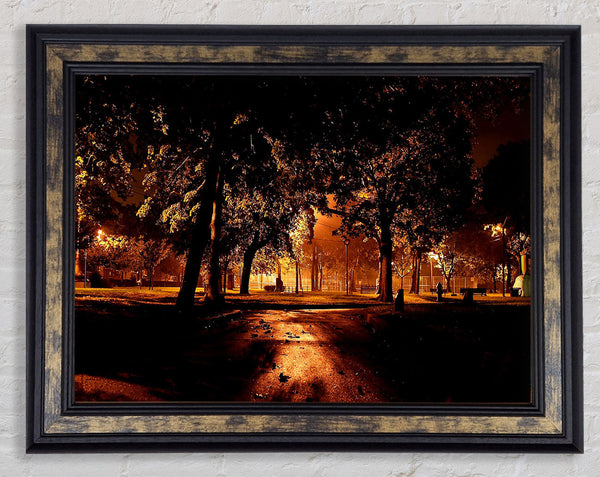Park At Night City Framed Print