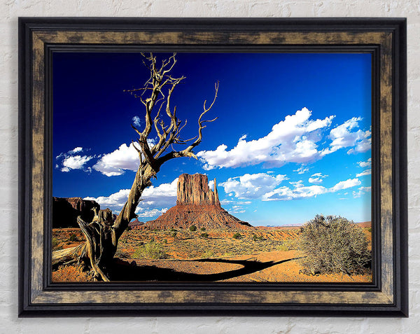 Monument Valley Arizona Framed Print