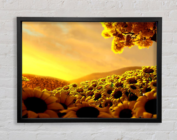 Sun Flower World Framed Print
