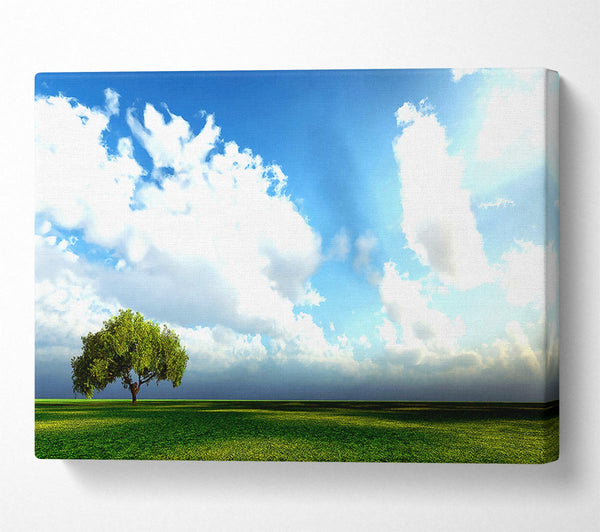  A Canvas Print of Beauty Of Nature Canvas Art