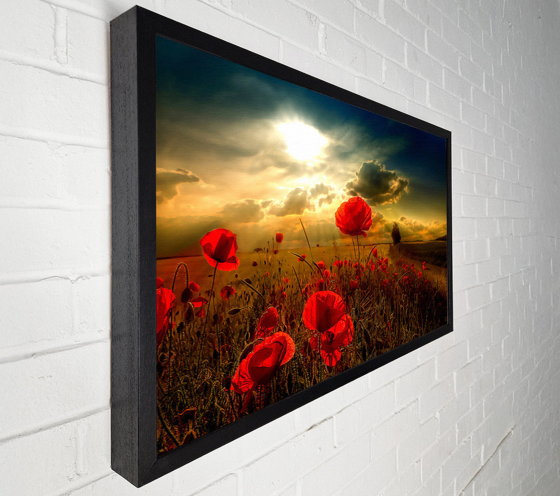  A Canvas Print of Sunlight Canvas Print