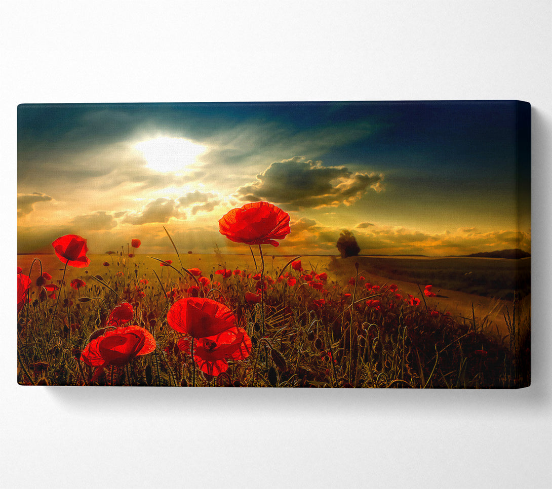  A Canvas Print of Sunlight Canvas Print