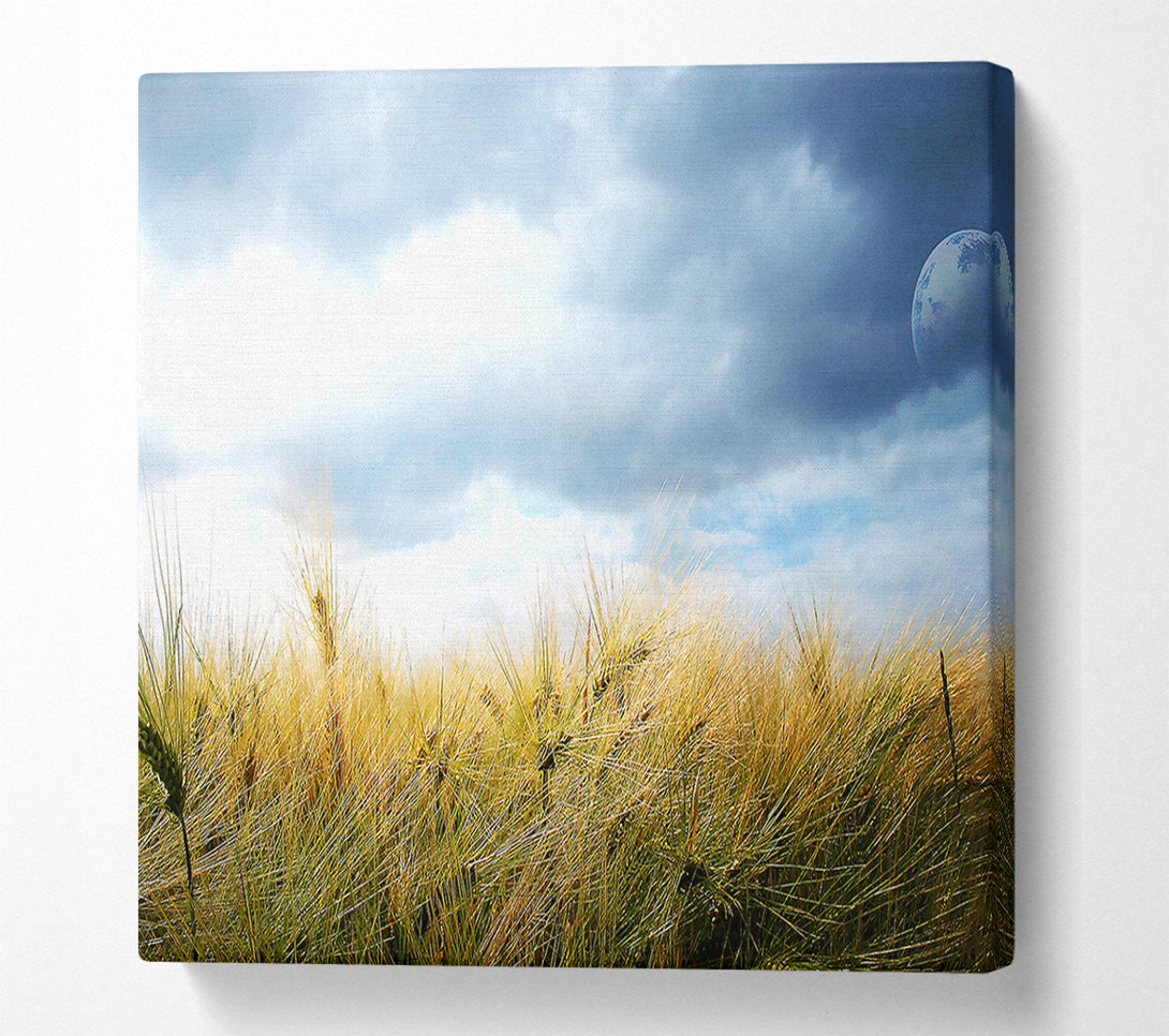  A Canvas Print of Dreamy Fields Canvas Print