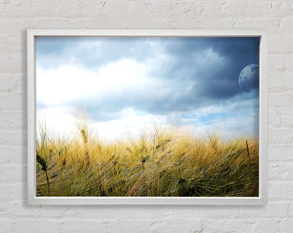 Dreamy Fields Framed Print