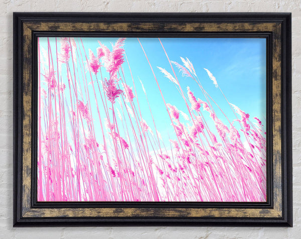 Grass On Beach Framed Print