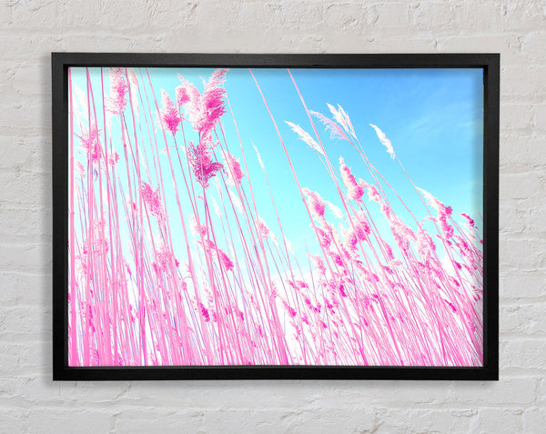 Grass On Beach Framed Print