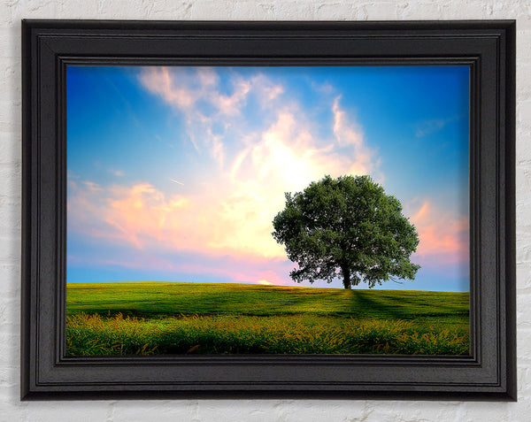Fresh Nature Framed Print