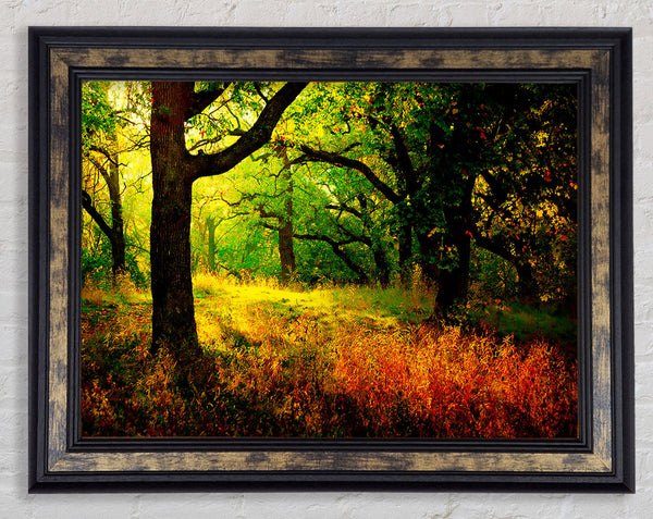 Autumn Wonderland Framed Print