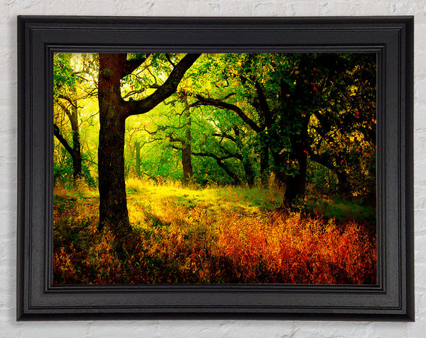 Autumn Wonderland Framed Print