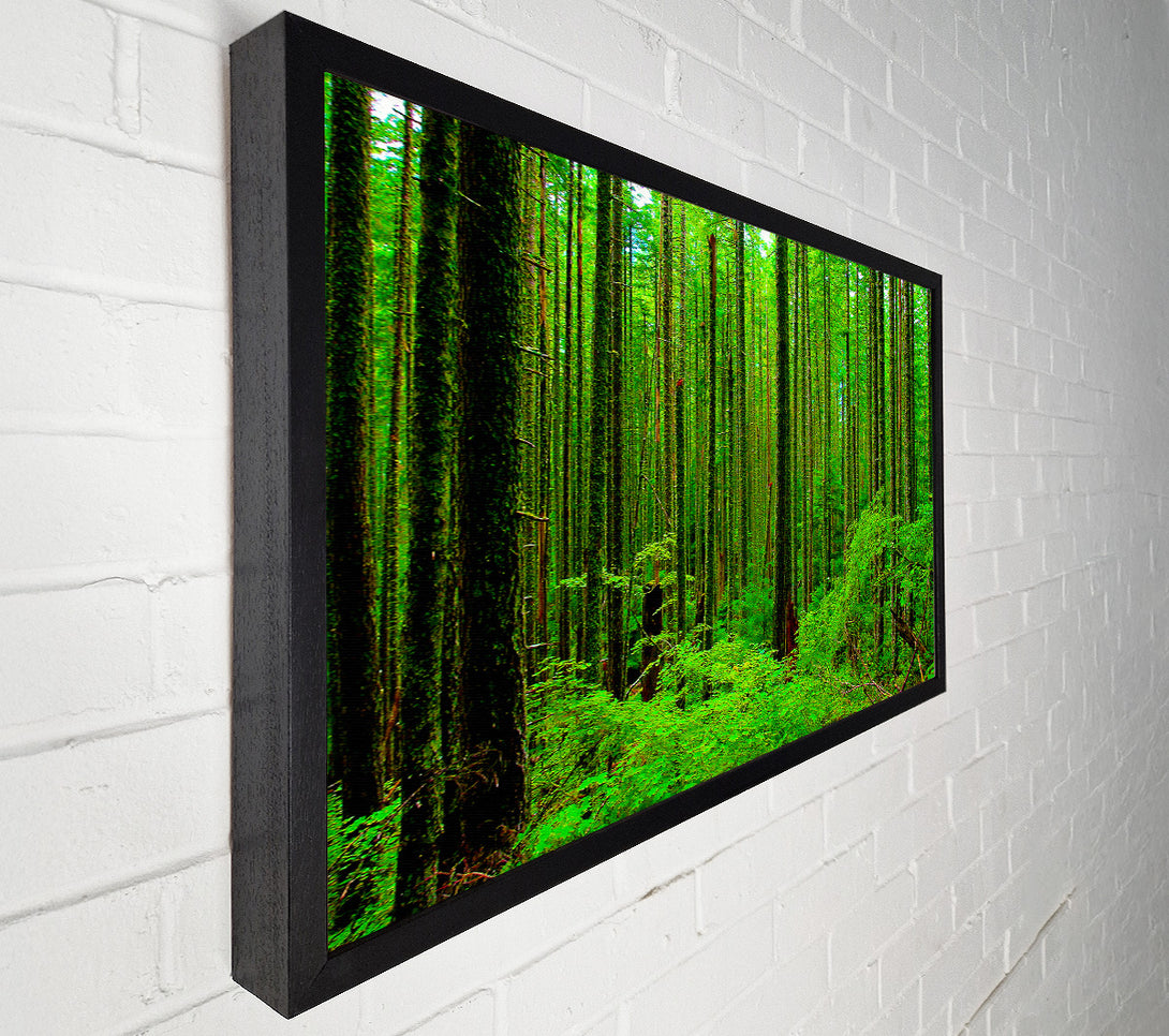  A Canvas Print of Nothing But Trees Canvas Print